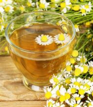 Matricaria chamomilla sementes - Image 2