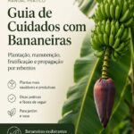 Guia de Cuidados com Bananeiras
