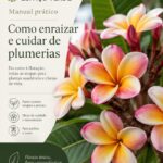Manual de enraizamento e cuidados com plumerias