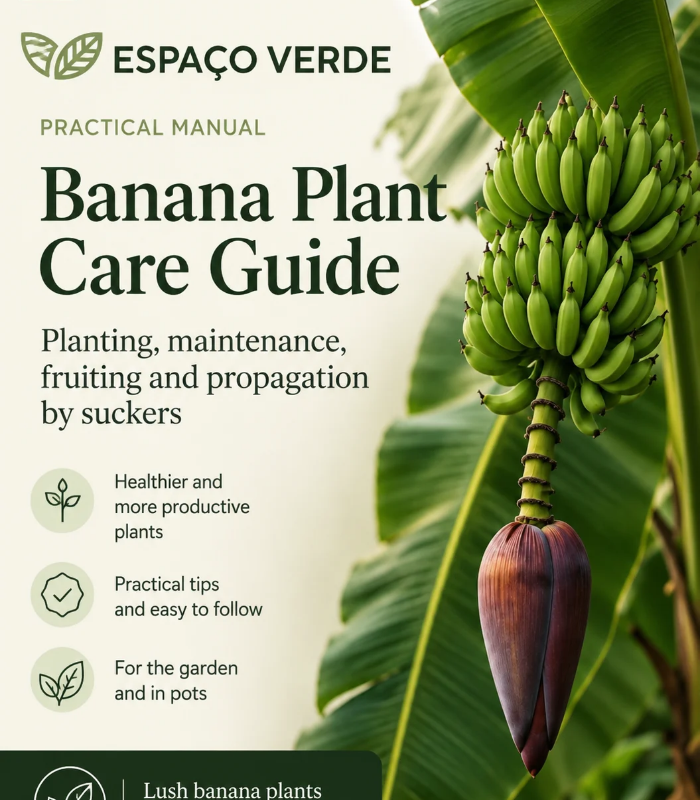 Imagem para produtos site-2 - cópia Banana tree care guide - English - Image 1